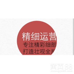 淘宝C店店铺淘客 精细化运营与单链接爆款打造技术深度解析
